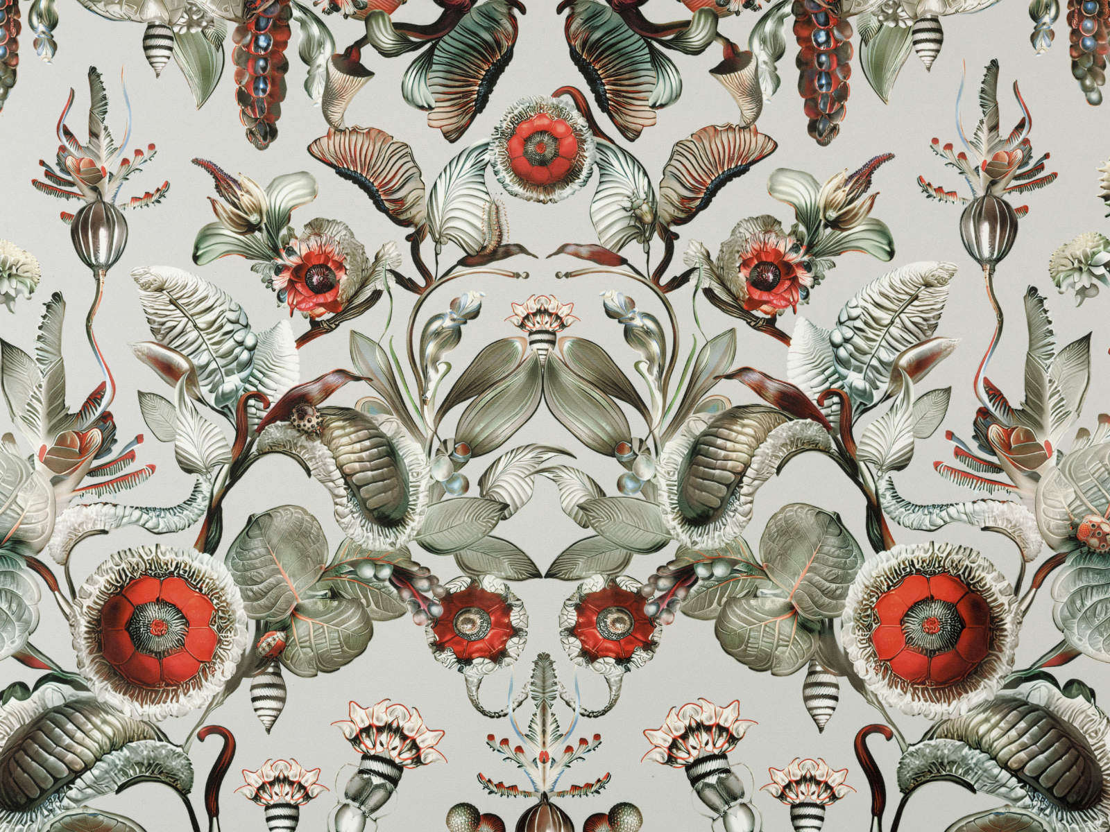 Arte Moooi Green House Coccinella Bella - MO5000