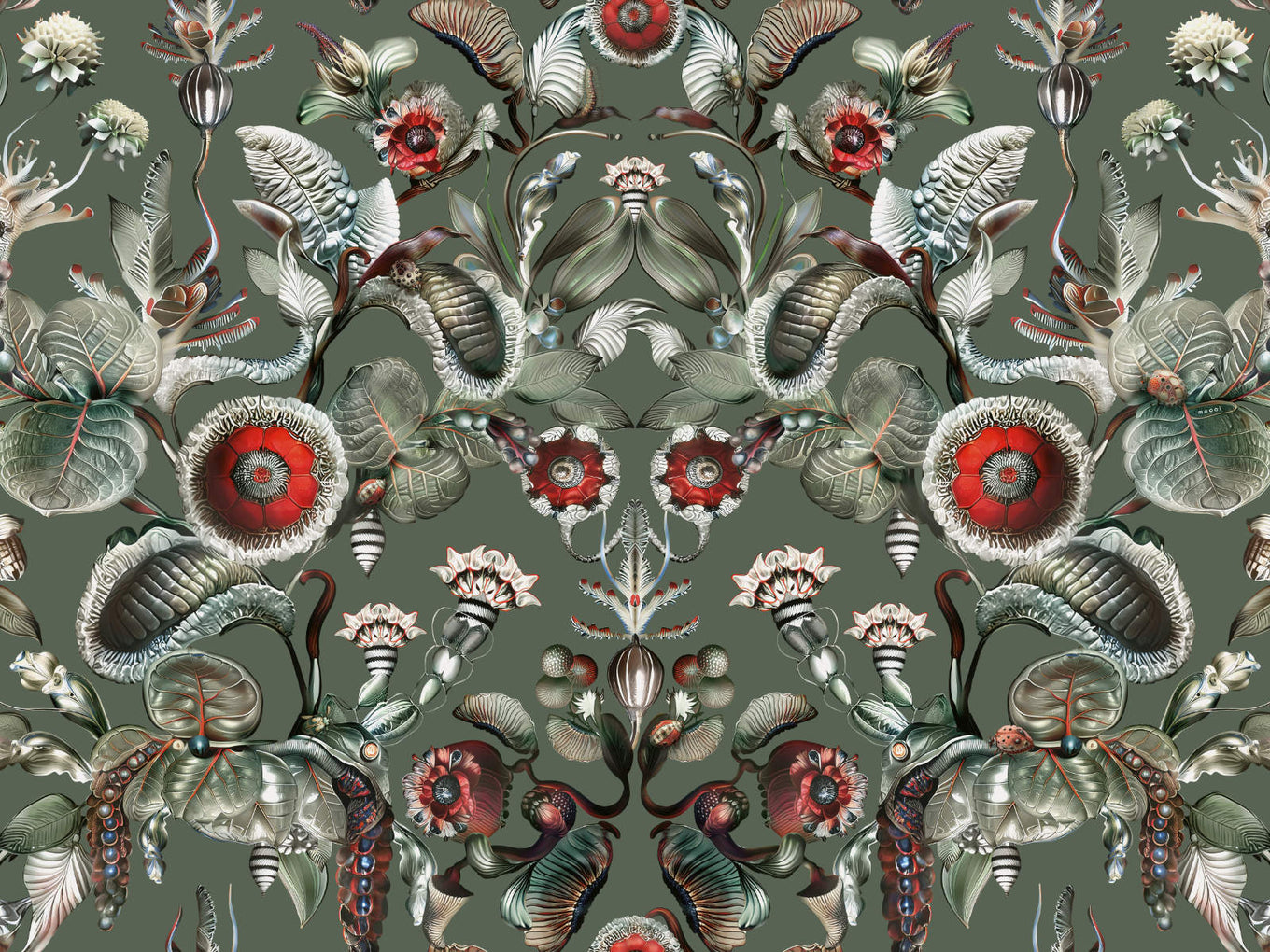 Arte Moooi Green House Coccinella Bella - MO5001