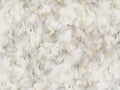 Arte Moooi Green House Silk Bombis - MO5012