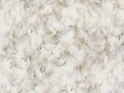 Arte Moooi Green House Silk Bombis - MO5012