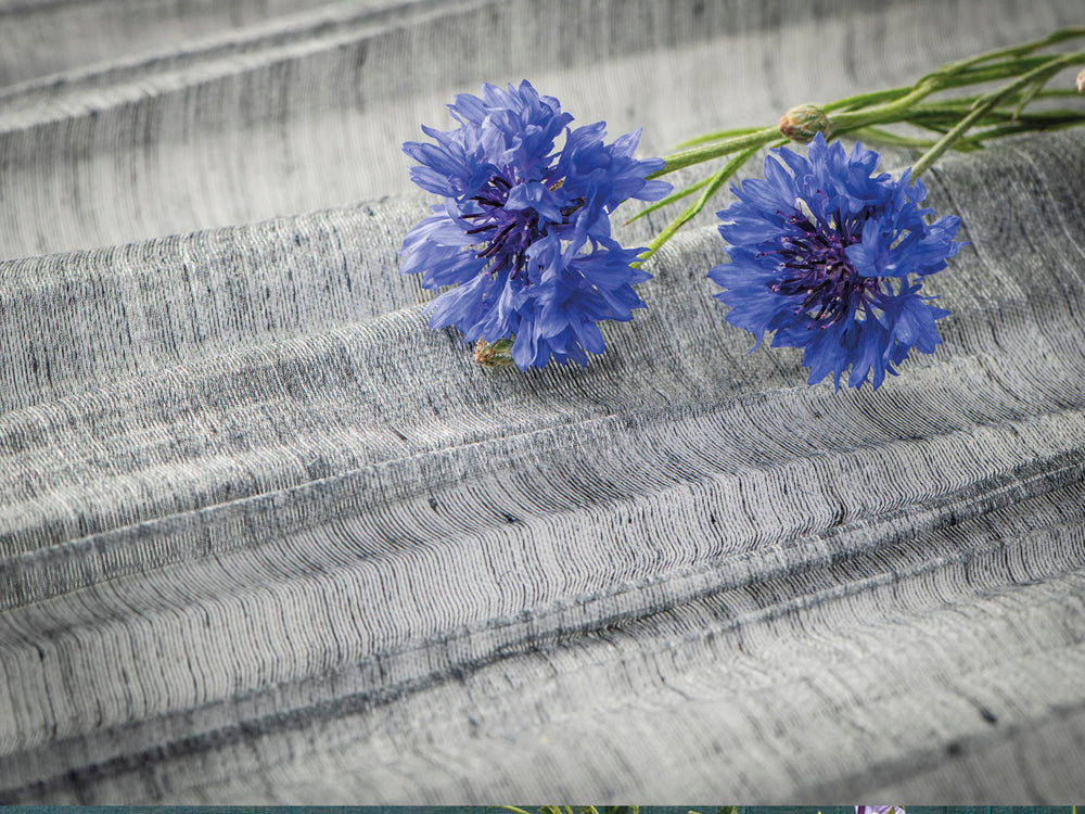 Arte Ode Pleats Please - ODE4606