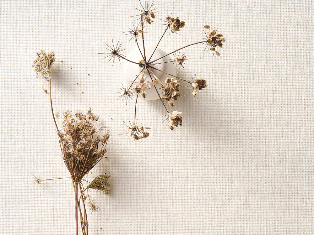 Arte Pure Purity - PU451