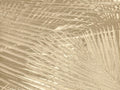 Arte Contract Sequoia - 67511