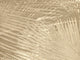 Arte Contract Sequoia - 67511
