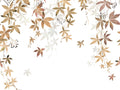 Casadeco Wonderwalls 2 Vigne en Fleur M - 200062303