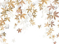 Casadeco Wonderwalls 2 Vigne en Fleur L - 200062304