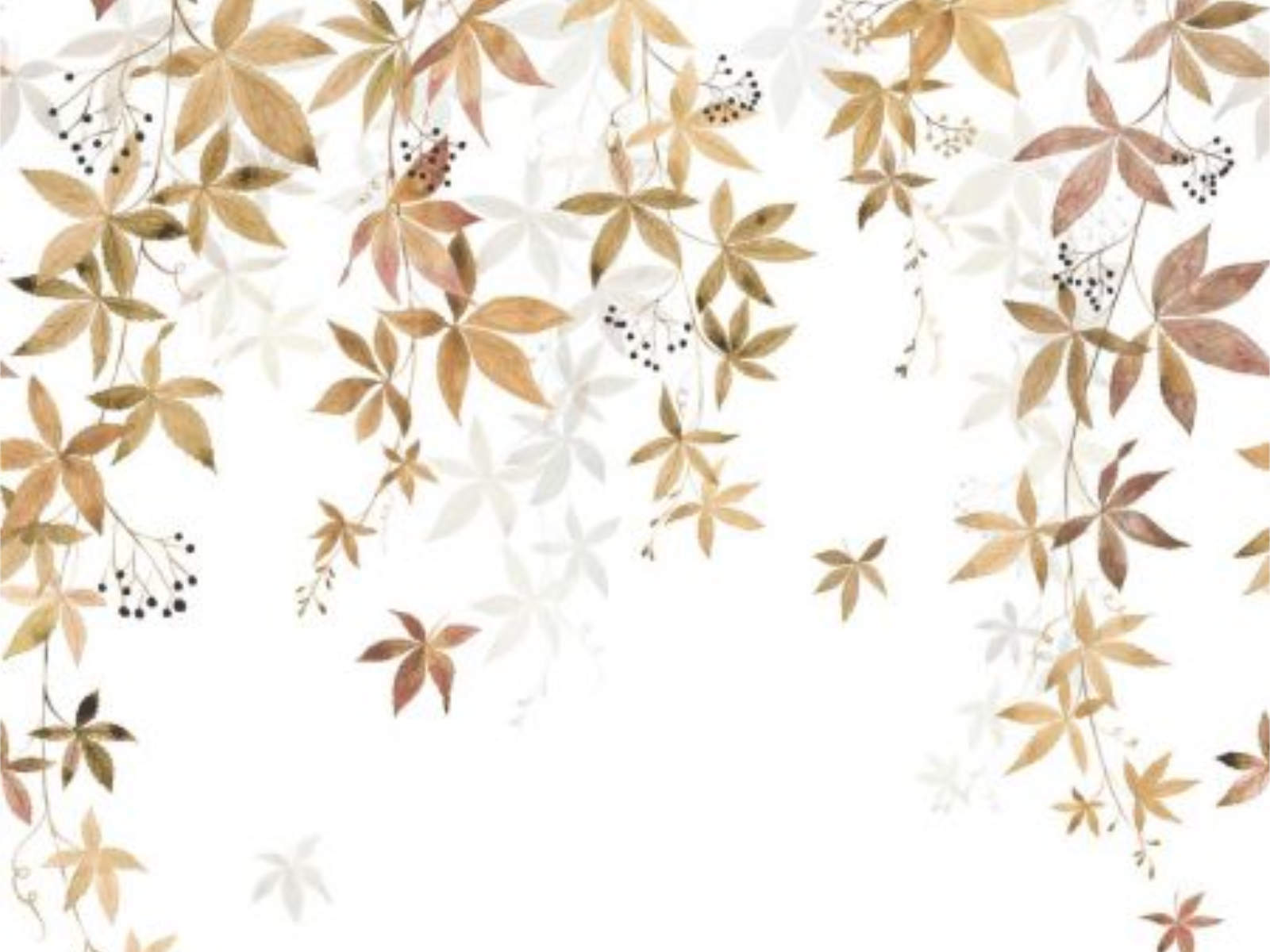 Casadeco Wonderwalls 2 Vigne en Fleur L - 200062304