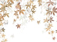 Casadeco Wonderwalls 2 Vigne en Fleur S - 200062305
