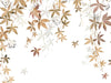 Casadeco Wonderwalls 2 Vigne en Fleur S - 200062305