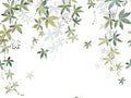 Casadeco Wonderwalls 2 Vigne en Fleur M - 200067203