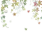 Casadeco Wonderwalls 2 Vigne en Fleur L - 200067904