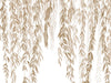 Casadeco Wonderwalls 2 Murmures d'Automne L - 200152704