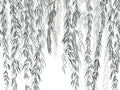 Casadeco Wonderwalls 2 Murmures d'Automne L - 200159404