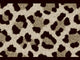 Casadeco Rio Ocelot - 201861809
