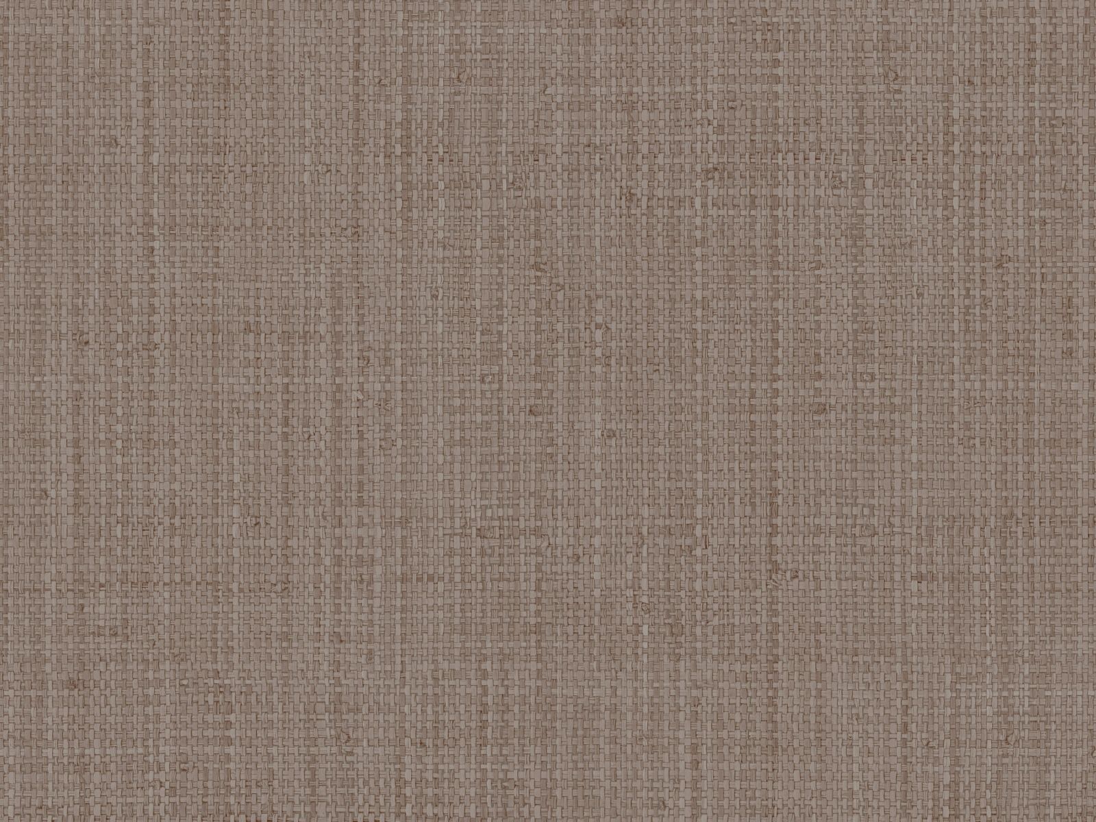 HookedOnWalls Tribu Suma - 29303