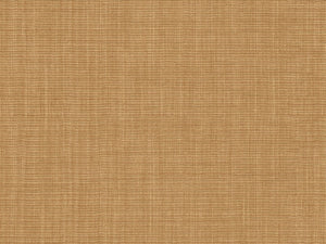 HookedOnWalls Tribu Nuba - 29325