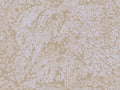 Eijffinger Magnifique - 351271