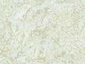 Eijffinger Magnifique - 351274