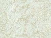 Eijffinger Magnifique - 351274
