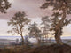 Eijffinger Magnifique - 351291