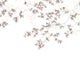 Casadeco Wonderwalls Calming Leaves M - 89134108
