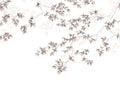 Casadeco Wonderwalls Calming Leaves L - 89134109