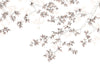 Casadeco Wonderwalls Calming Leaves L - 89134109