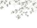 Casadeco Wonderwalls Calming Leaves S - 89137507