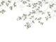 Casadeco Wonderwalls Calming Leaves S - 89134107