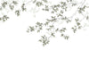 Casadeco Wonderwalls Calming Leaves S - 89134107