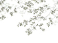 Casadeco Wonderwalls Calming Leaves M - 89137508