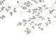 Casadeco Wonderwalls Calming Leaves M - 89137508