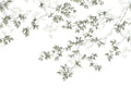 Casadeco Wonderwalls Calming Leaves L - 89137509