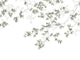 Casadeco Wonderwalls Calming Leaves L - 89137509