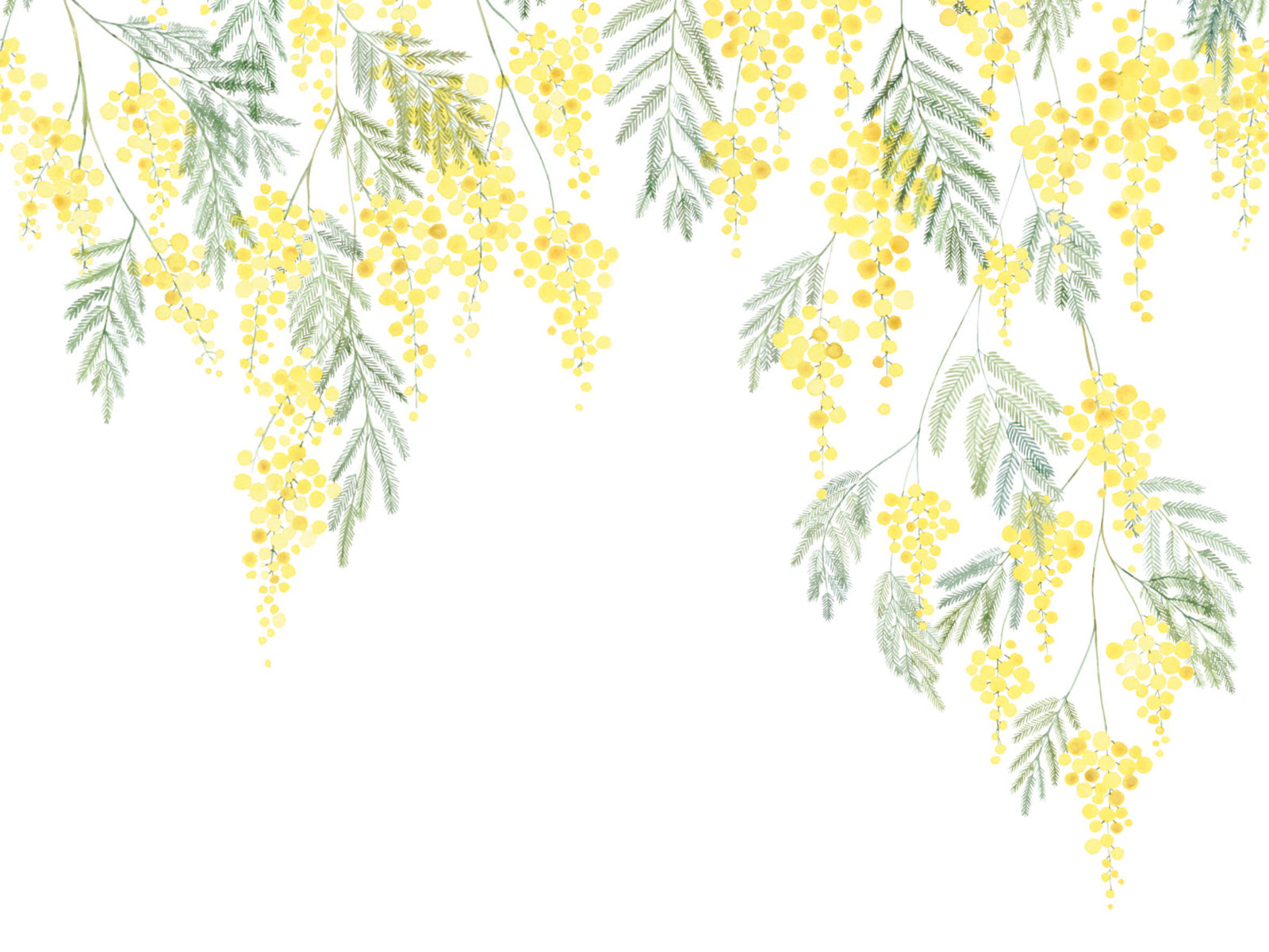 Casadeco Wonderwalls Mimosa S - 89172205