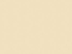 Caselio Natte 2 Uni Mat - 101560009