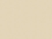 Caselio Natte 2 Uni Metallise - 101571106