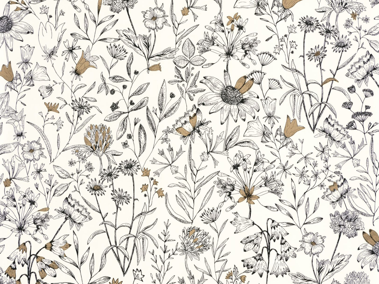 Caselio Kitchen Box Jardin De Giverny - 103000215
