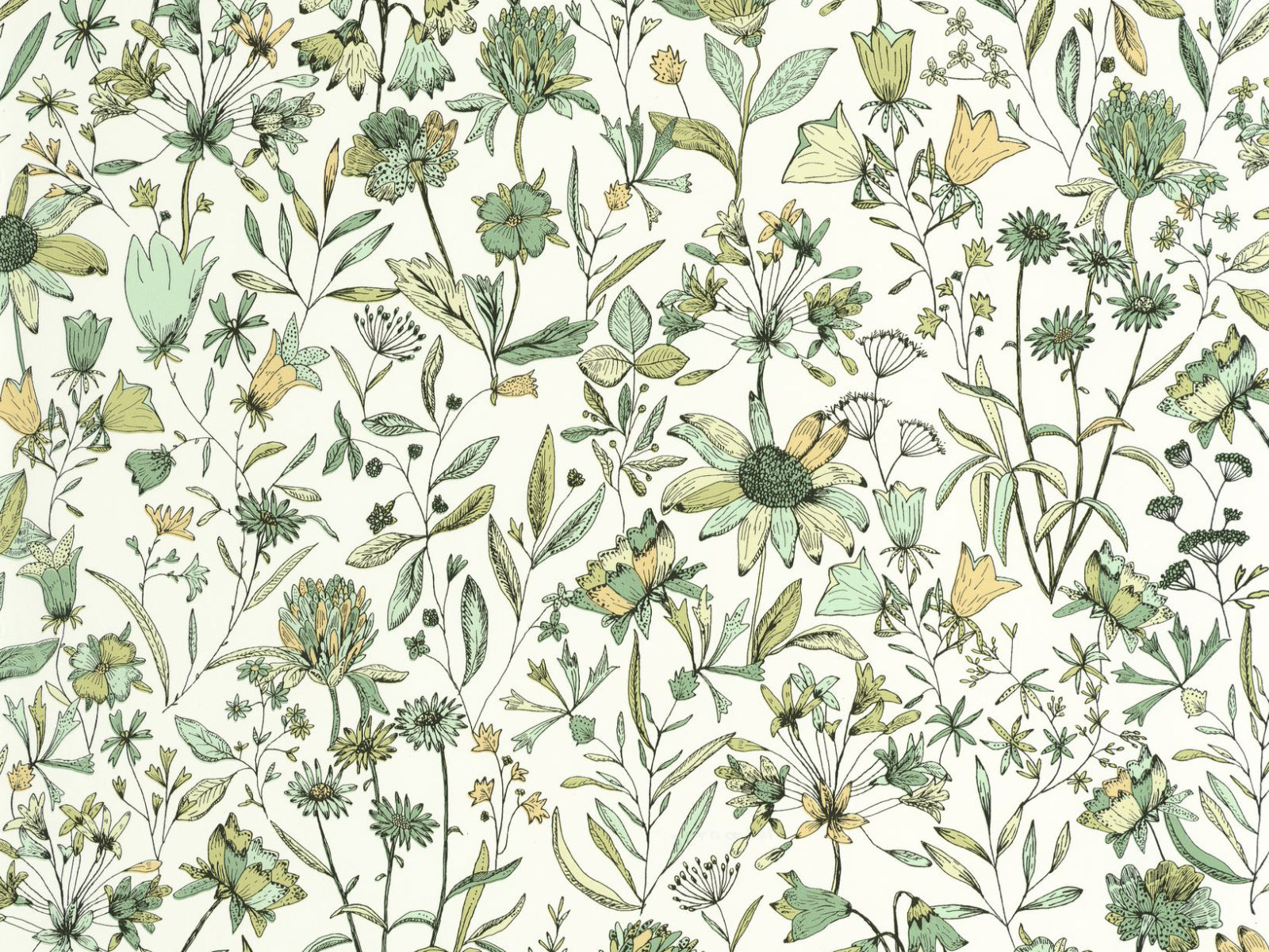 Caselio Kitchen Box Jardin De Giverny - 103000798