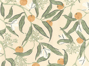 Caselio Kitchen Box Eurydice - 103611077