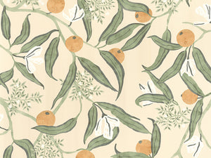 Caselio Kitchen Box Eurydice - 103611077