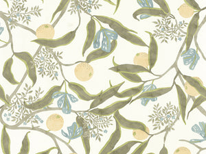 Caselio Kitchen Box Eurydice - 103617020