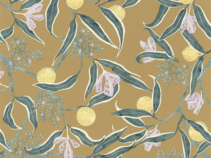 Caselio Kitchen Box Eurydice - 103617122