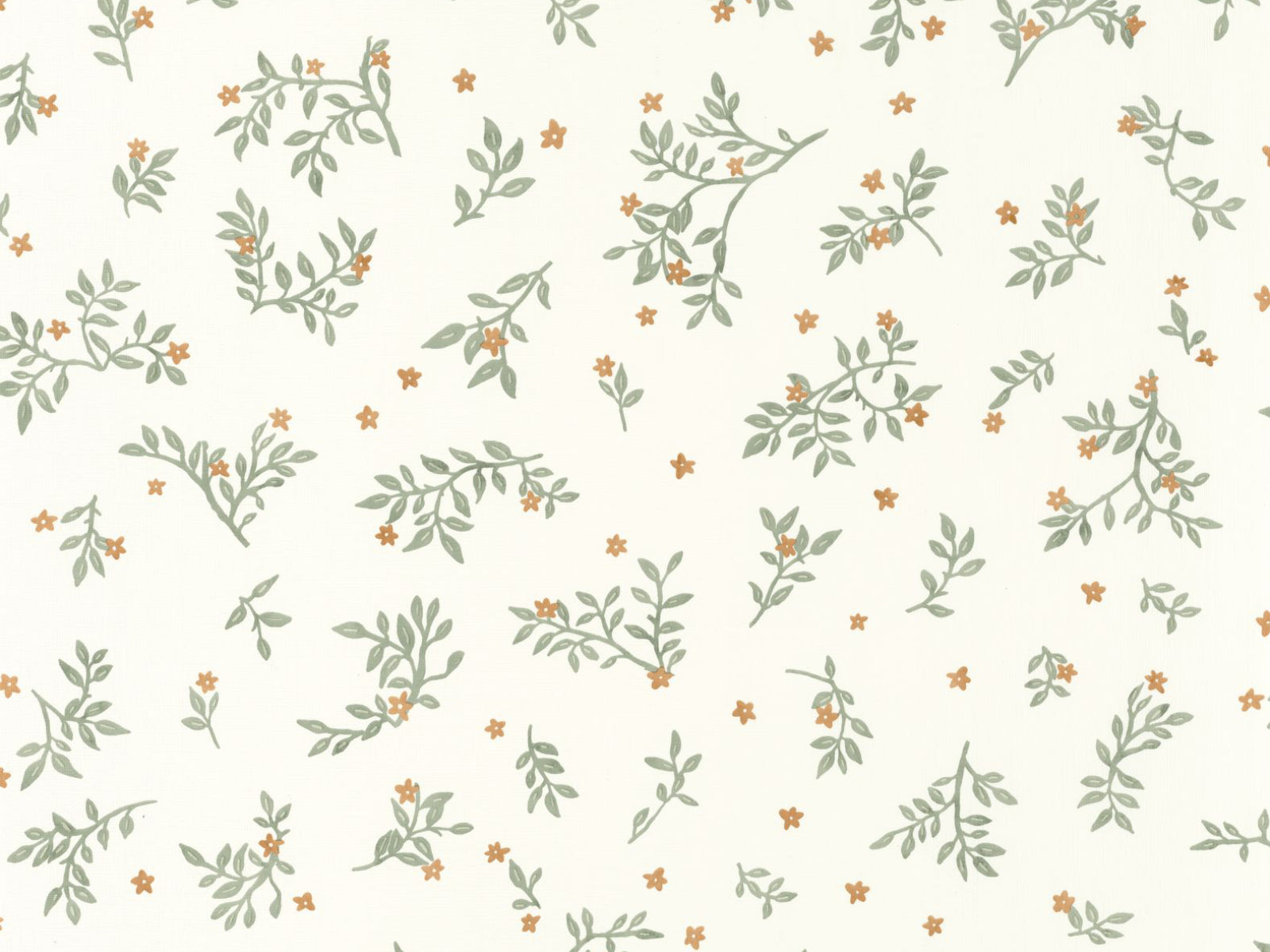 Caselio Kitchen Box Callisto - 103647032