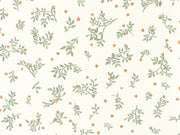 Caselio Kitchen Box Callisto - 103647032