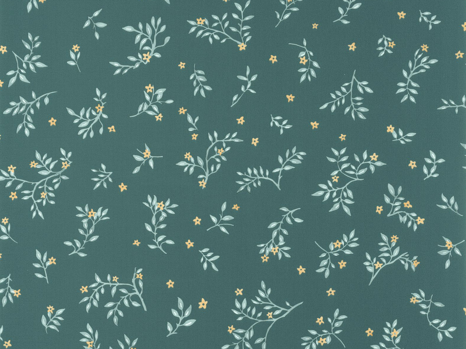 Caselio Kitchen Box Callisto - 103647127