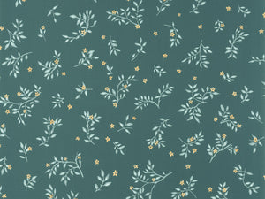 Caselio Kitchen Box Callisto - 103647127