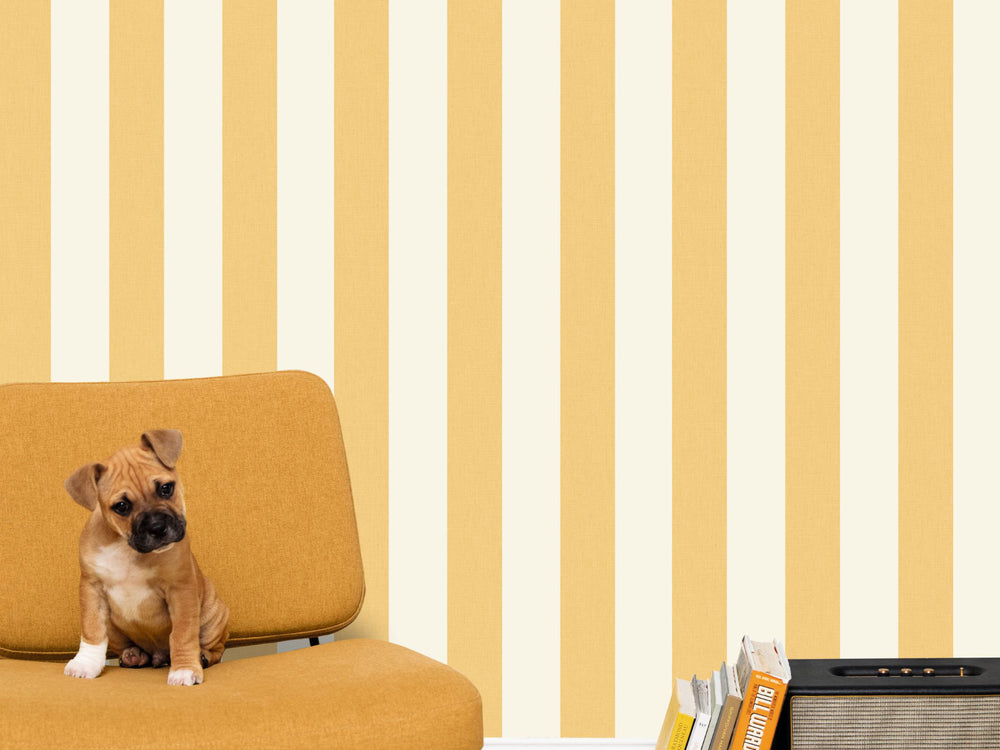 Caselio Kitchen Box Lines Lines - 104042000