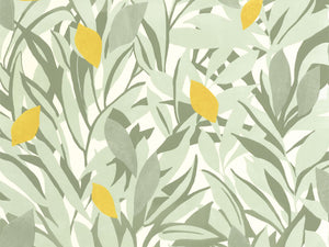 Caselio Kitchen Box Cassis - 105457243