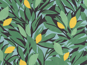 Caselio Kitchen Box Cassis - 105457720